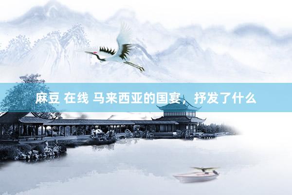 麻豆 在线 马来西亚的国宴，抒发了什么