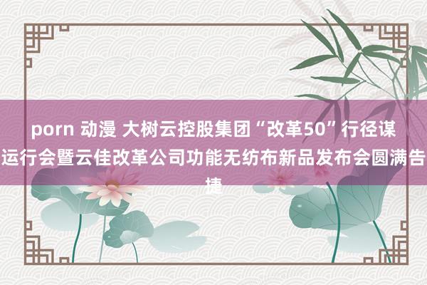 porn 动漫 大树云控股集团“改革50”行径谋略运行会暨云佳改革公司功能无纺布新品发布会圆满告捷