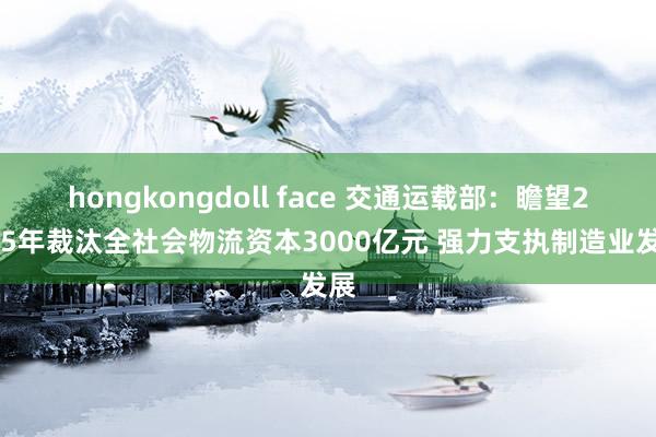 hongkongdoll face 交通运载部:瞻望2025年裁汰全社会物流资本3000亿元 强力支执制造业发展