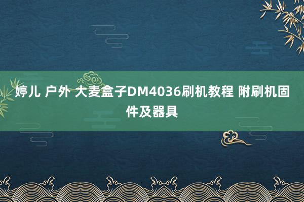 婷儿 户外 大麦盒子DM4036刷机教程 附刷机固件及器具