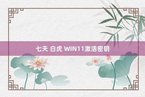 七天 白虎 WIN11激活密钥