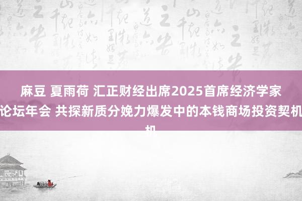 麻豆 夏雨荷 汇正财经出席2025首席经济学家论坛年会 共探新质分娩力爆发中的本钱商场投资契机