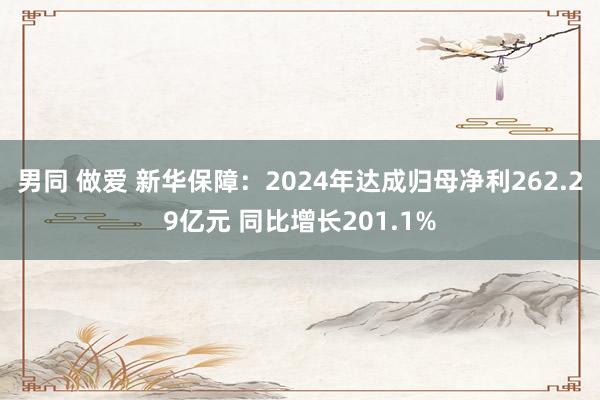 男同 做爱 新华保障：2024年达成归母净利262.29亿元 同比增长201.1%