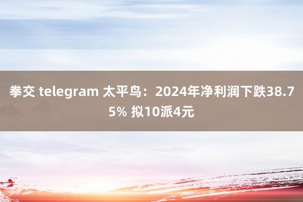 拳交 telegram 太平鸟：2024年净利润下跌38.75% 拟10派4元