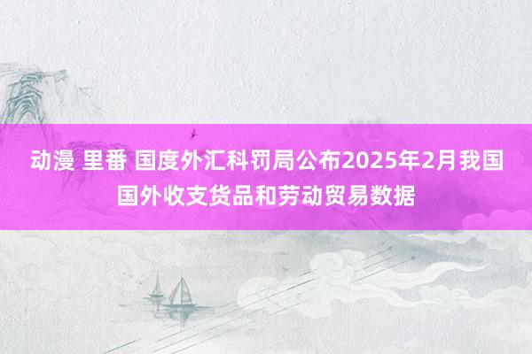 动漫 里番 国度外汇科罚局公布2025年2月我国国外收支货品和劳动贸易数据