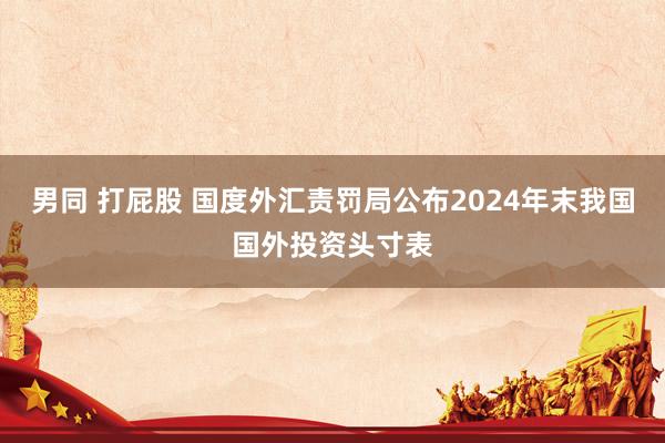 男同 打屁股 国度外汇责罚局公布2024年末我国国外投资头寸表