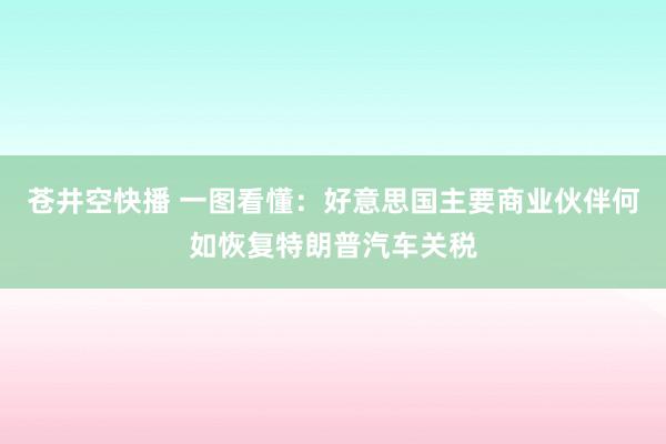 苍井空快播 一图看懂：好意思国主要商业伙伴何如恢复特朗普汽车关税