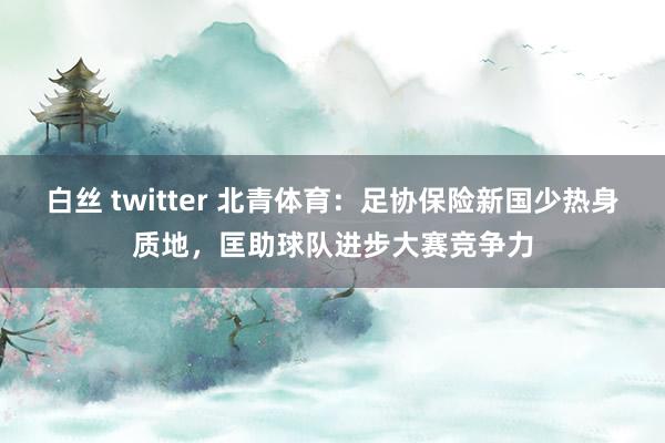 白丝 twitter 北青体育：足协保险新国少热身质地，匡助球队进步大赛竞争力